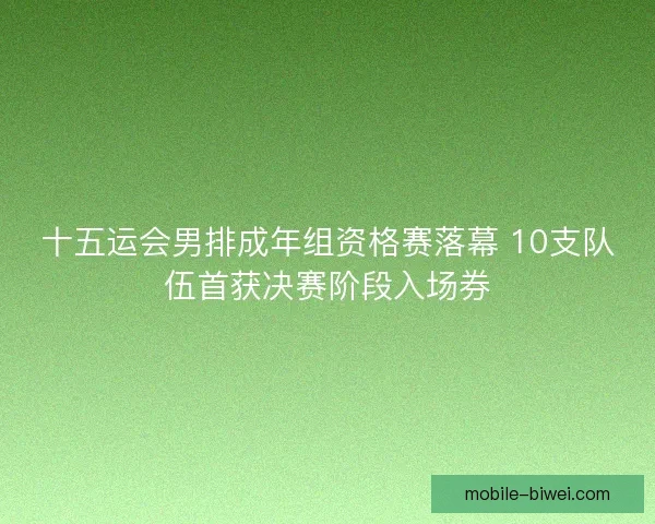 十五运会男排成年组资格赛落幕 10支队伍首获决赛阶段入场券